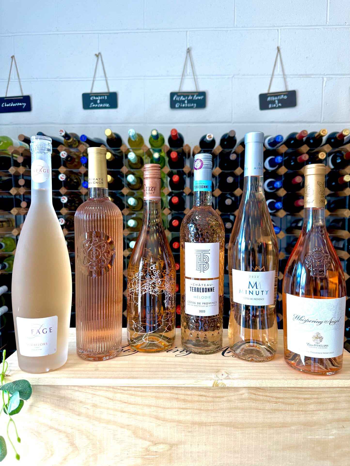 The Provence Rosé Mixed 6 Case - Bodega Movil