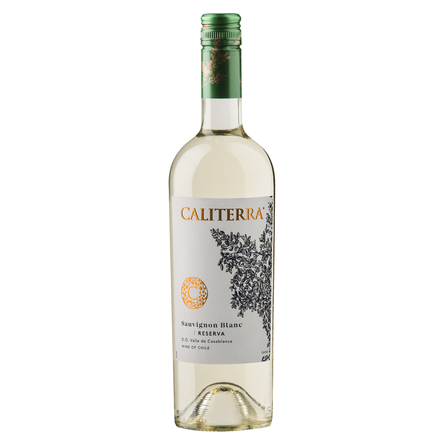 Calitera Sauvignon Blanc Reserva 2018 (1 x 75cl) - Bodega Movil