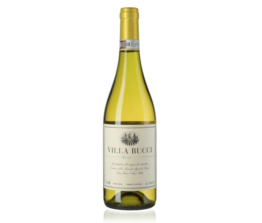 Villa Bucci, Verdicchio Classico Riserva 75cl - 2020 - Bodega Movil